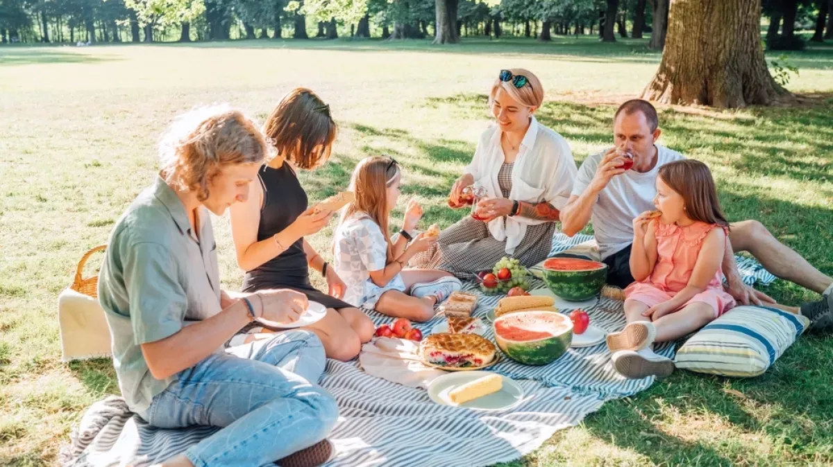Piknik na grudima domovine: Vodič za prave Hrvate