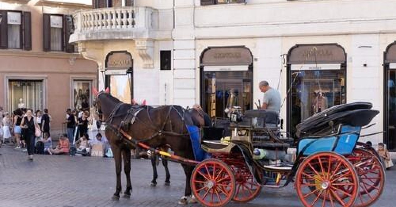 Rimski konj pao na mostu: Paklene vrućine ubijaju tradiciju