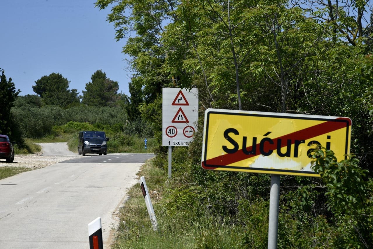 Divlje svinje teroriziraju Sućuraj: Tko će zaustaviti najezdu i obraniti hrvatske vrtove?