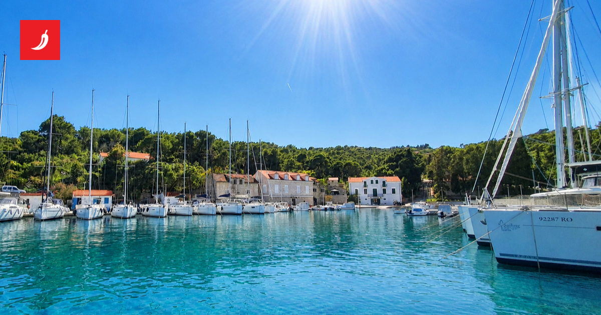 Hrvatska nautička sila: Sailing Europe Charter nudi 7% kamate za domoljubne ulagače